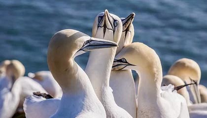 顶级娱乐|足球赛事v4.8.3